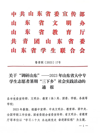 喜报!我校暑期“三下乡” 社会实践获多项省、市级表彰!